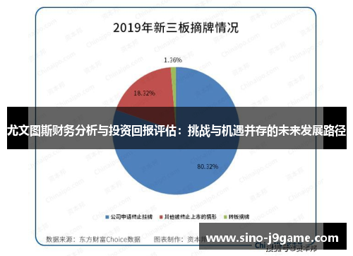 尤文图斯财务分析与投资回报评估：挑战与机遇并存的未来发展路径