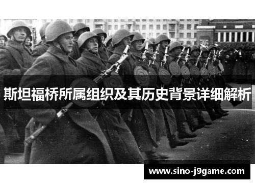 斯坦福桥所属组织及其历史背景详细解析