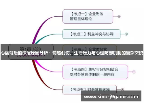 心痛背后的深层原因分析：情感创伤、生活压力与心理防御机制的复杂交织